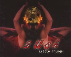 Bush : Little Things